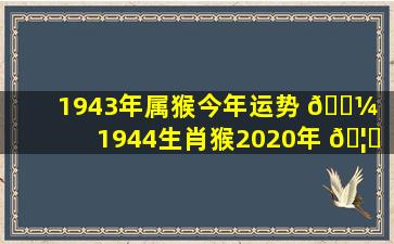 1943年属猴今年运势 🌼 （1944生肖猴2020年 🦆 运势大全）